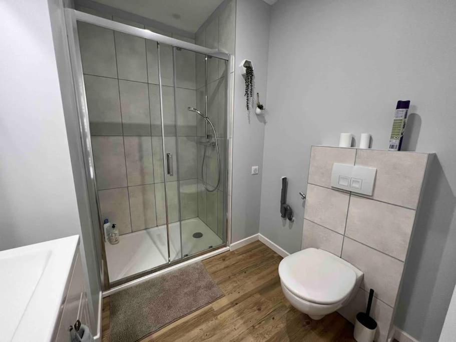Appartement Climatise / Centre-Ville / 4 Personnes Безансон Экстерьер фото